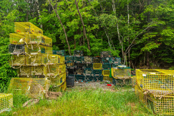 istock Schoodic Lobster Traps 660972186