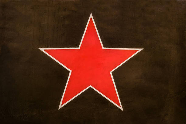 istock Red Soviet star on a dark green protective camouflage background. Identification sign aircraft of the Soviet air force on the khaki background. 660982696