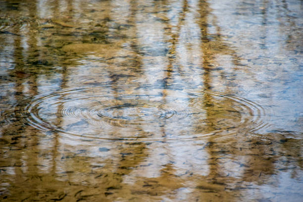 Reflections on the stream. stock photo
