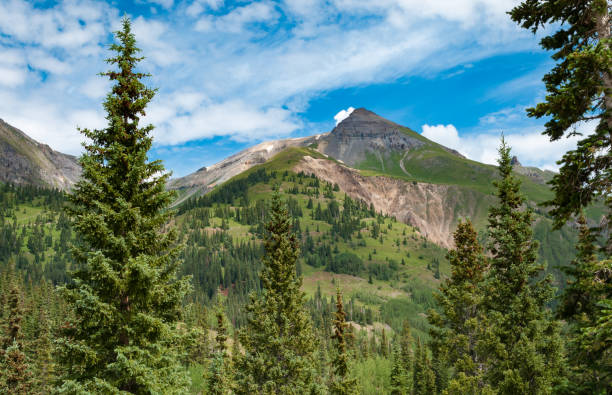 istock San Juan National Forest,  Colorado 660991684