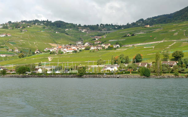 istock The Riviera Vaudoise and its famous vineyard 661013586