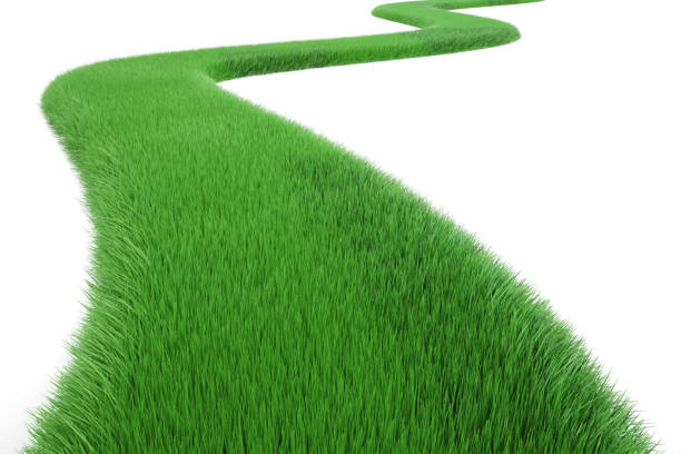 istock Green Grass Way, 3D rendering isolated on white background 661021578