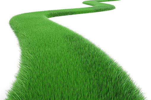 Green Grass Way, 3D rendering isolated on white background