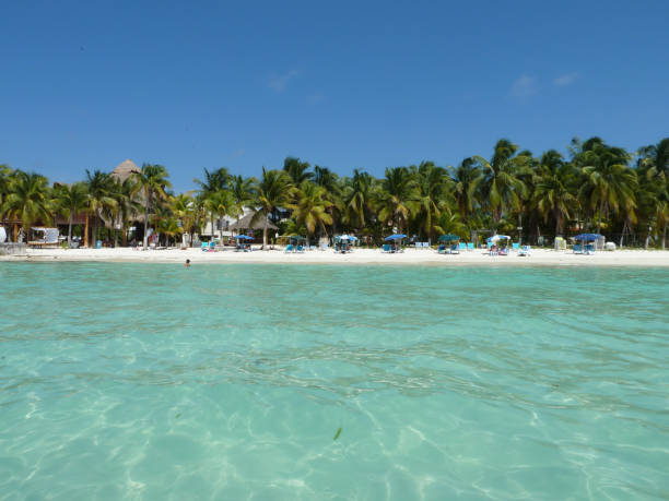 istock Playa Norte, Isla Mujeres, Mexico 661029228