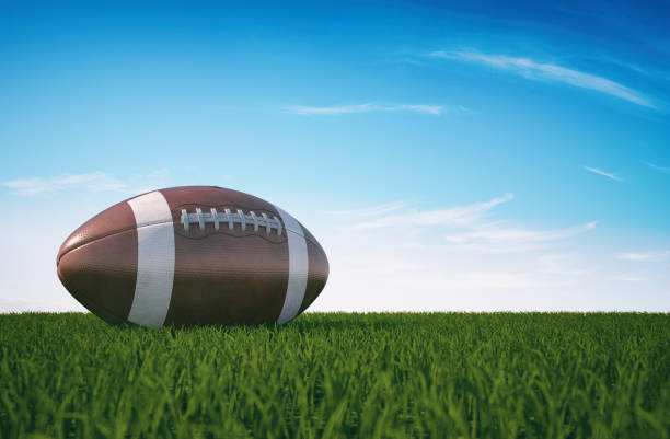 istock Football on the grass 661030586