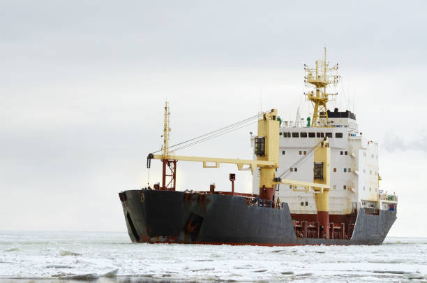istock Big ship in the sea. 661041812