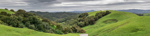 Lush Green Winter Panorama at Briones Regional Park Martinez, Contra Costa County, California, USA. contra costa county stock pictures, royalty-free photos & images