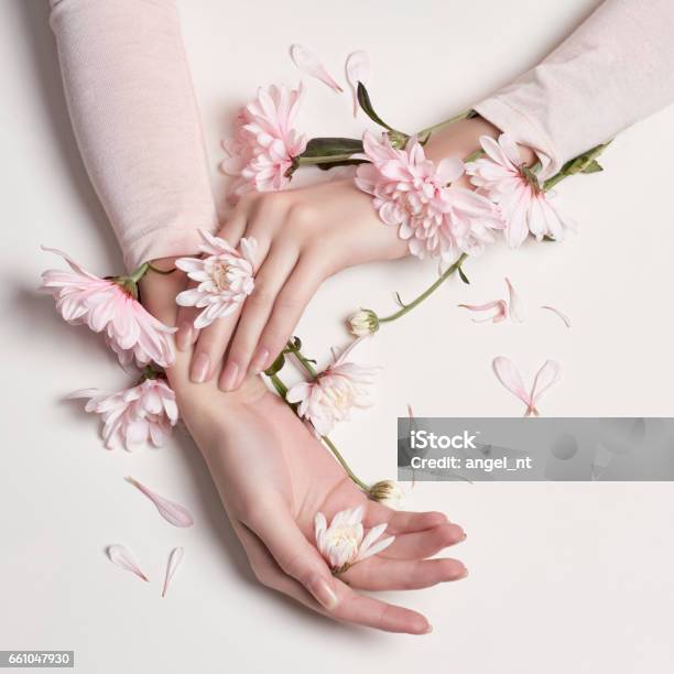 Fashion Art Portrait Woman In Summer Dress And Flowers In Her Hand With A Bright Contrasting Makeup Creative Beauty Photo Girls Sitting At Table On A Contrasting Pink Background With Colored Shadows Stock Photo - Download Image Now
