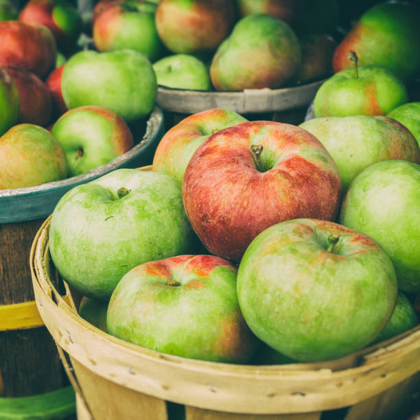 lobo apples in a basket at the market with vintage effect - macintosh apple imagens e fotografias de stock