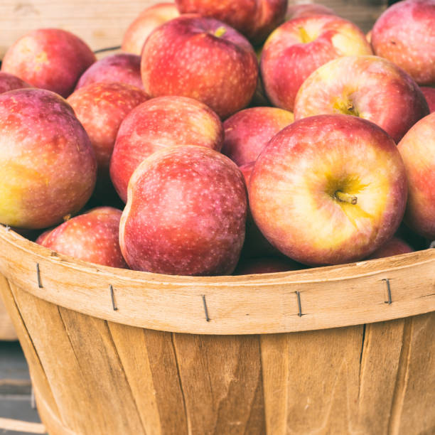 lobo apples in a basket at the market with vintage effect - macintosh apple imagens e fotografias de stock