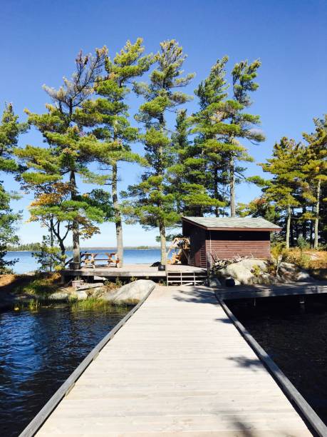 istock Rainy Lake, Island Life 661057134