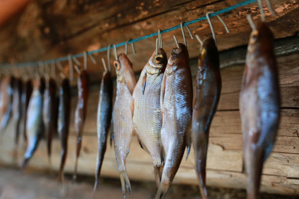 pescado secándose en la cuerda - pescado secado fotografías e imágenes de stock