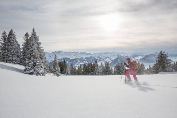 ładna, młoda kobieta węosnie w wysokich górach - snowshoeing snowshoe women shoe zdjęcia i obrazy z banku zdjęć