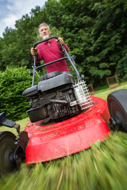 istock Senior man mowing the lawn 661105134