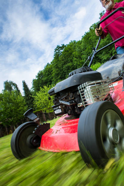 istock Senior man mowing the lawn 661105140