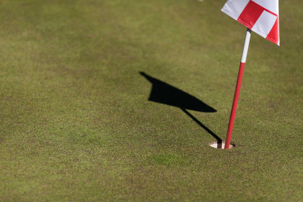 istock Flag standing in the golf hole with its shadow near it 661219342