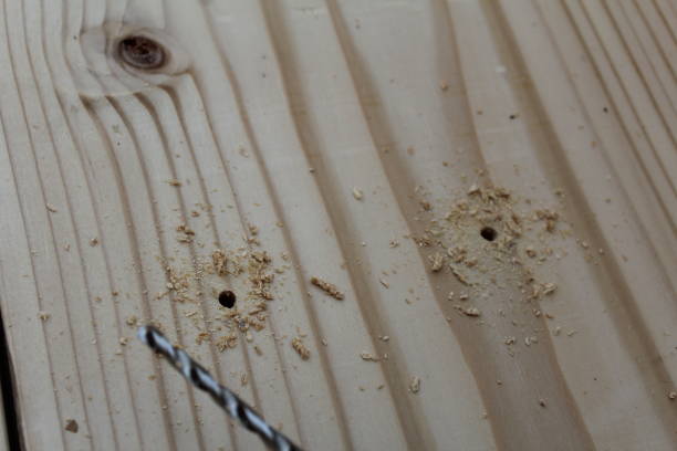 istock Drilling holes in the bottom of the planter box. 661269426