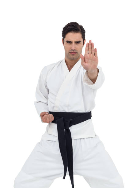 istock Portrait of fighter performing karate stance 661283874
