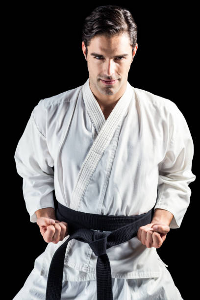 istock Portrait of fighter performing karate stance 661296198