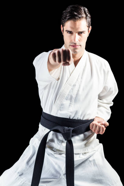 istock Portrait of fighter performing karate stance 661296492