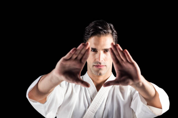 istock Portrait of fighter performing karate stance 661296830