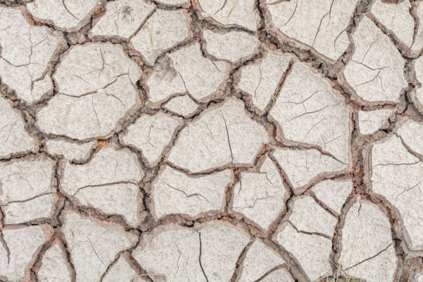 istock Dry cracked soil detail surface background 661306634