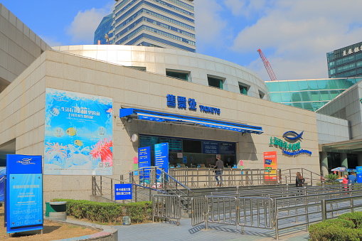 Shanghai China - November 1, 2016: People visit Shanghai Ocean Aquarium in Shanghai China. Shanghai Ocean Aquarium has one of the longest underwater tunnels in the world.