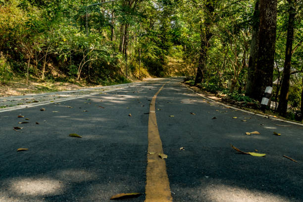 istock Yellow curve road sign 661336472