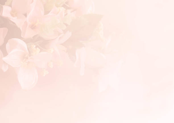 istock fabric flower in color tone 661401978