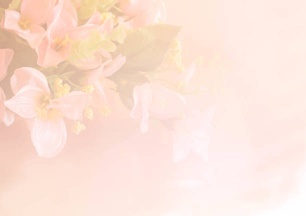 istock fabric pink flower in color tone 661402800