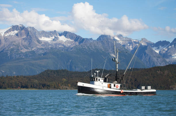Arrastão de pesca no sudeste do Alasca - foto de acervo