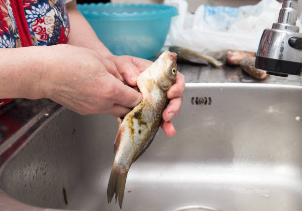 istock The cook pulls the guts out of the fish 661419732