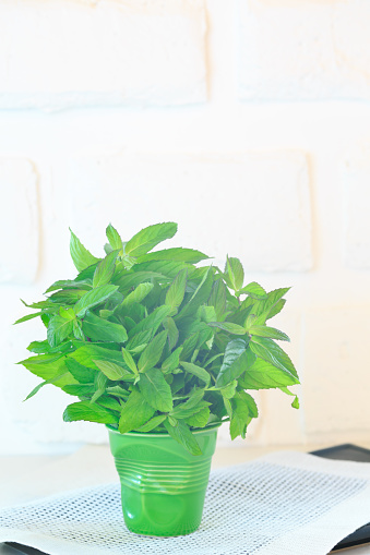 Bunch of mint in a green porcelain glass. Aromatic herb. Fresh high key veggie photo. Black background with white napkin. Mint in the middle. Vertical