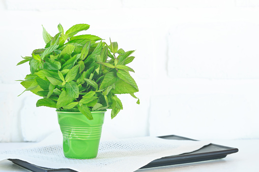 Bunch of mint in a green porcelain glass. Aromatic herb. Fresh high key veggie photo. Black background with white napkin. Zero level view Mint on the left side. Horizontal