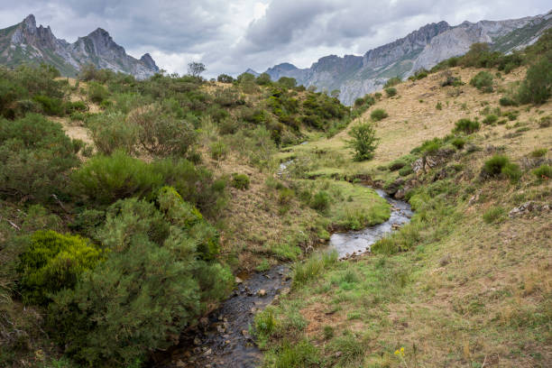 istock Views of the river Rio del Lago 661426262
