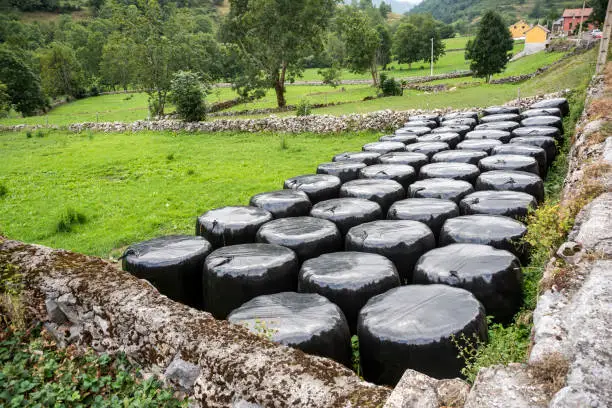 Bales of silage in a field in Somiedo Nature Reserve, Principality of Asturias, Spain