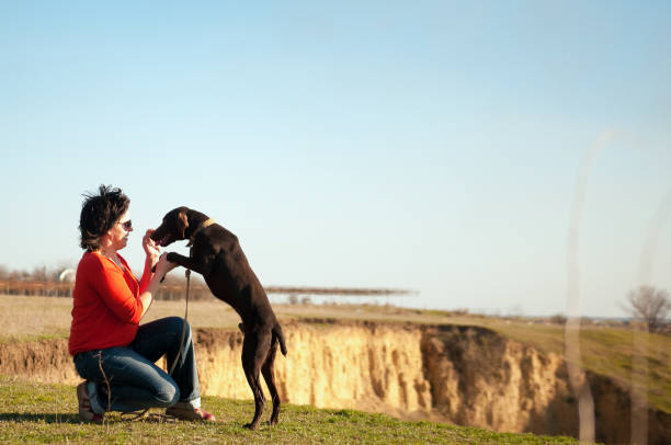 istock walking woman with dog 661443914