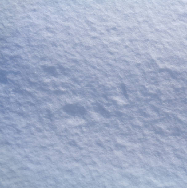 istock Arctic tundra and Polar desert ice crystals (snowflakes) texture and background 661446936