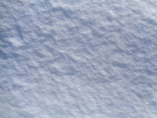 istock Arctic tundra and Polar desert ice crystals (snowflakes) texture and background 661449650
