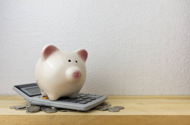 istock Piggybank and money 661449916