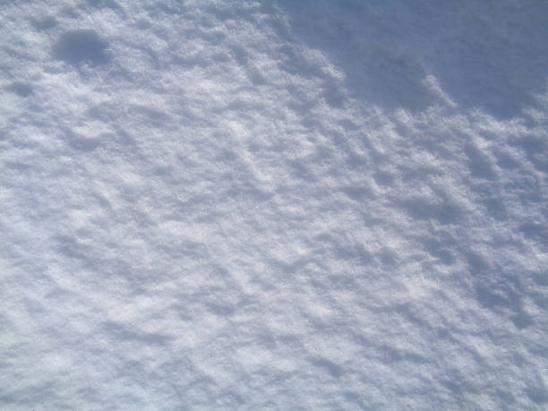 istock Arctic tundra and Polar desert ice crystals (snowflakes) texture and background 661450164