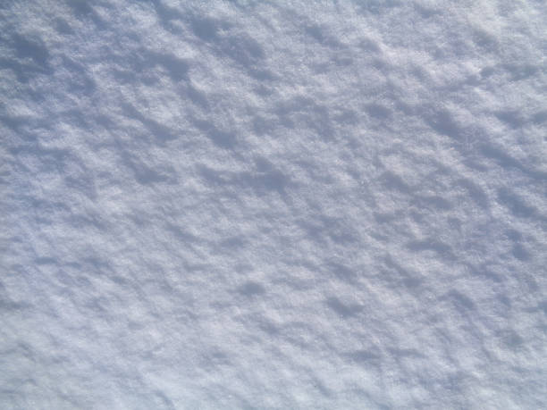 istock Arctic tundra and Polar desert ice crystals (snowflakes) texture and background 661451214