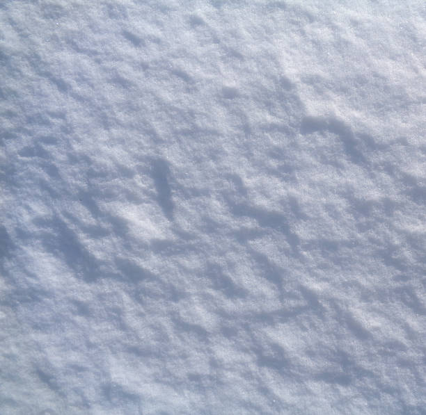 istock Arctic tundra and Polar desert ice crystals (snowflakes) texture and background 661451640