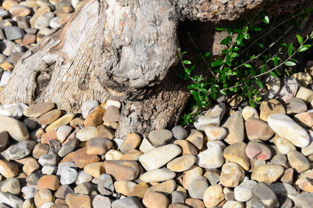 istock Paving stones in Mallorca - Spain- 661451700