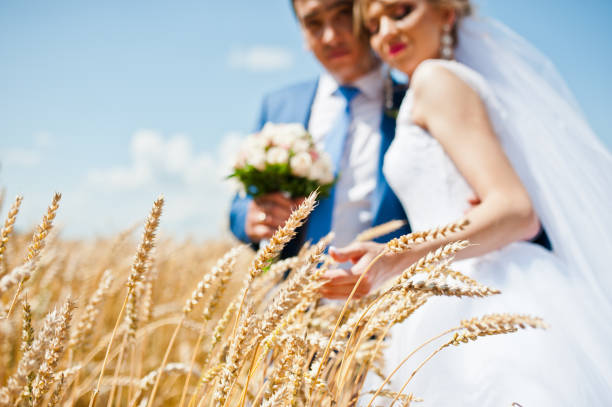 istock wedding couple on sunny day on wheat 661456214