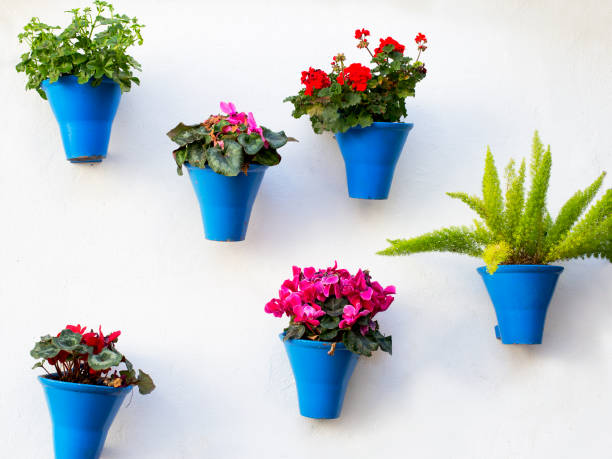 decorazione andalusa con fiori tipici vasi - beauty in nature bright building exterior close up foto e immagini stock