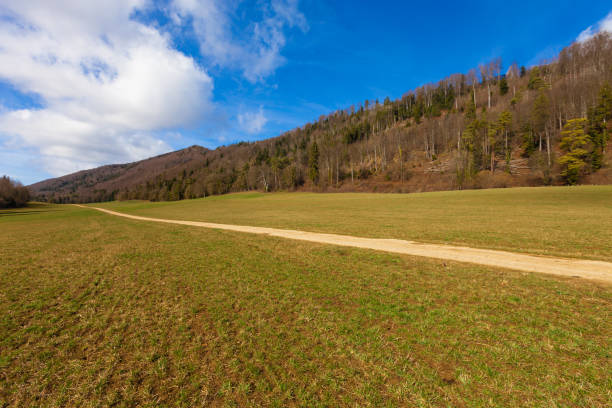 istock Countryside landscape with dirt road 661470628