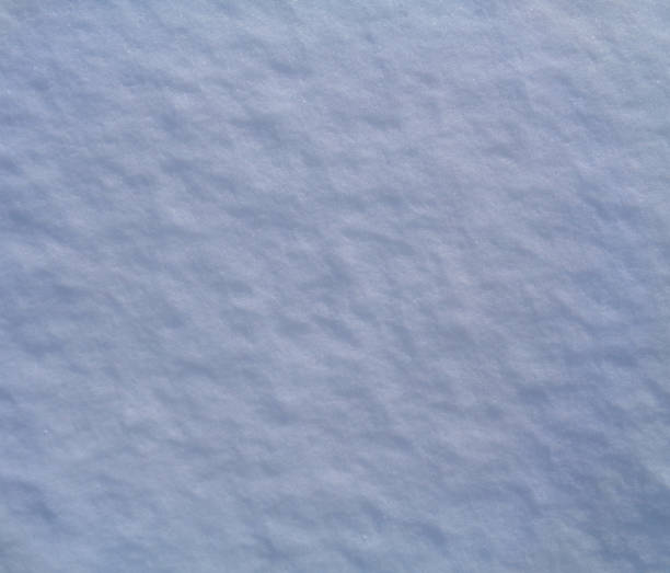 istock Arctic tundra and Polar desert ice crystals (snowflakes) texture and background 661470992