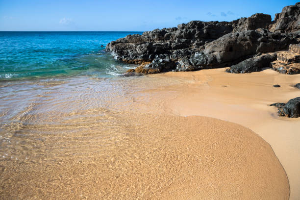 istock Beach on the Caribbean Sea 661475102