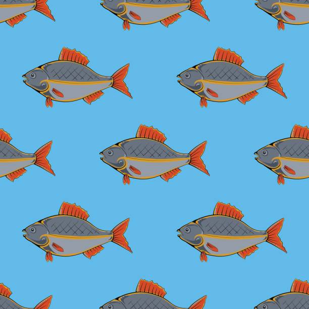 ilustrações, clipart, desenhos animados e ícones de peixe fresco sem costura padrão - animal scale fish silver backgrounds